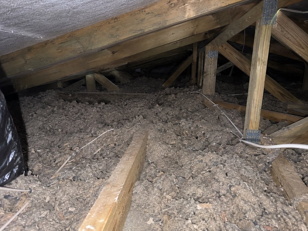 Roof space filled with contaminated loose-fill insulation
